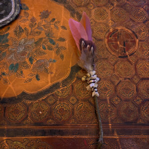 Plume de fumigation rouge et verte