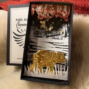 Mondes chamaniques ours