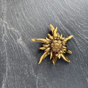 Broche Eguzki Lore